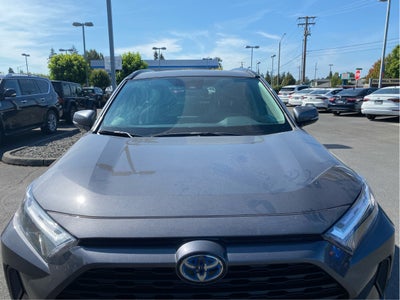 2024 Toyota RAV4 Hybrid XLE