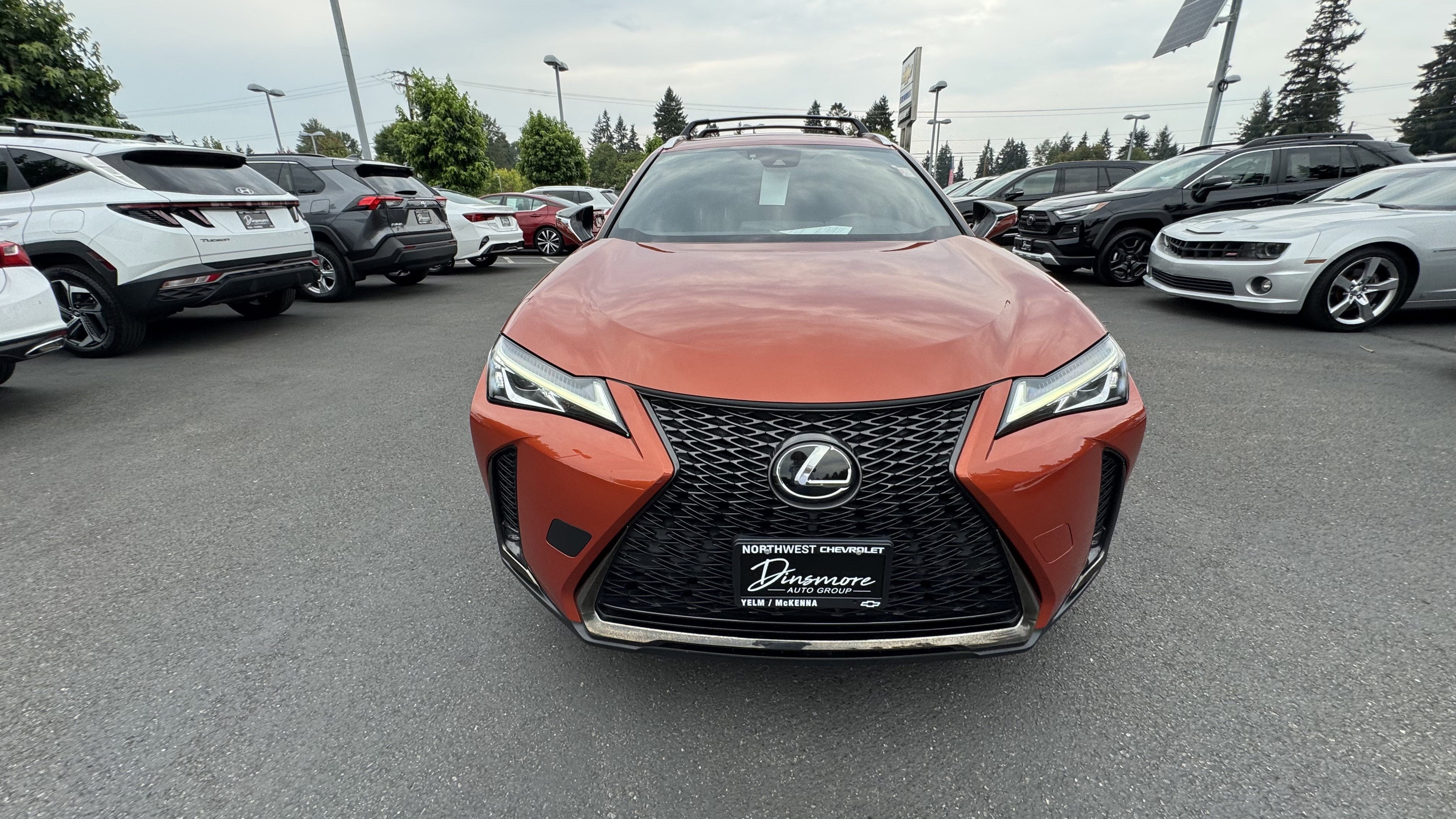 2019 Lexus UX 200 F SPORT