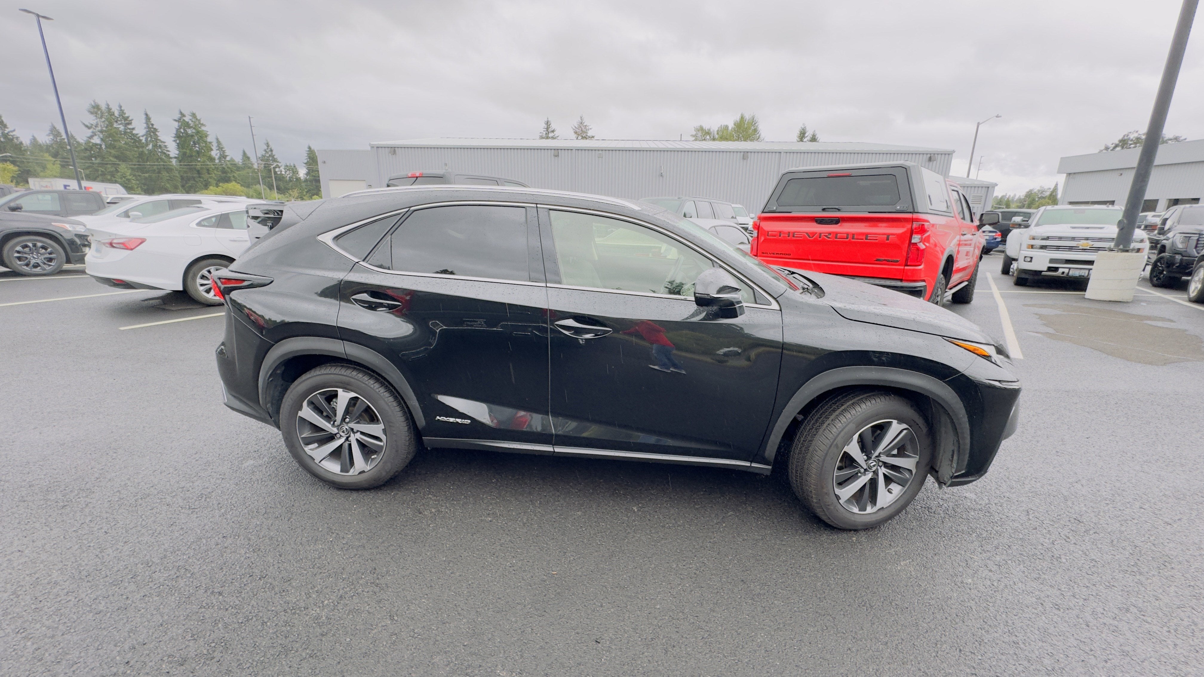 2019 Lexus NX NX 300h