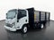 2025 Chevrolet Low Cab Forward 4500 HG Base