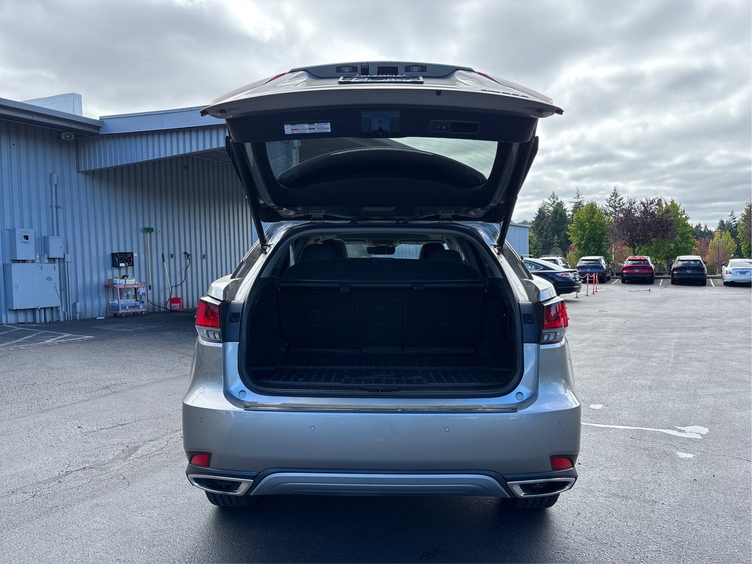 2020 Lexus RX RX 350