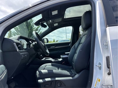 2025 GMC Terrain AWD Elevation