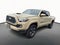 2019 Toyota Tacoma 2WD TRD Sport