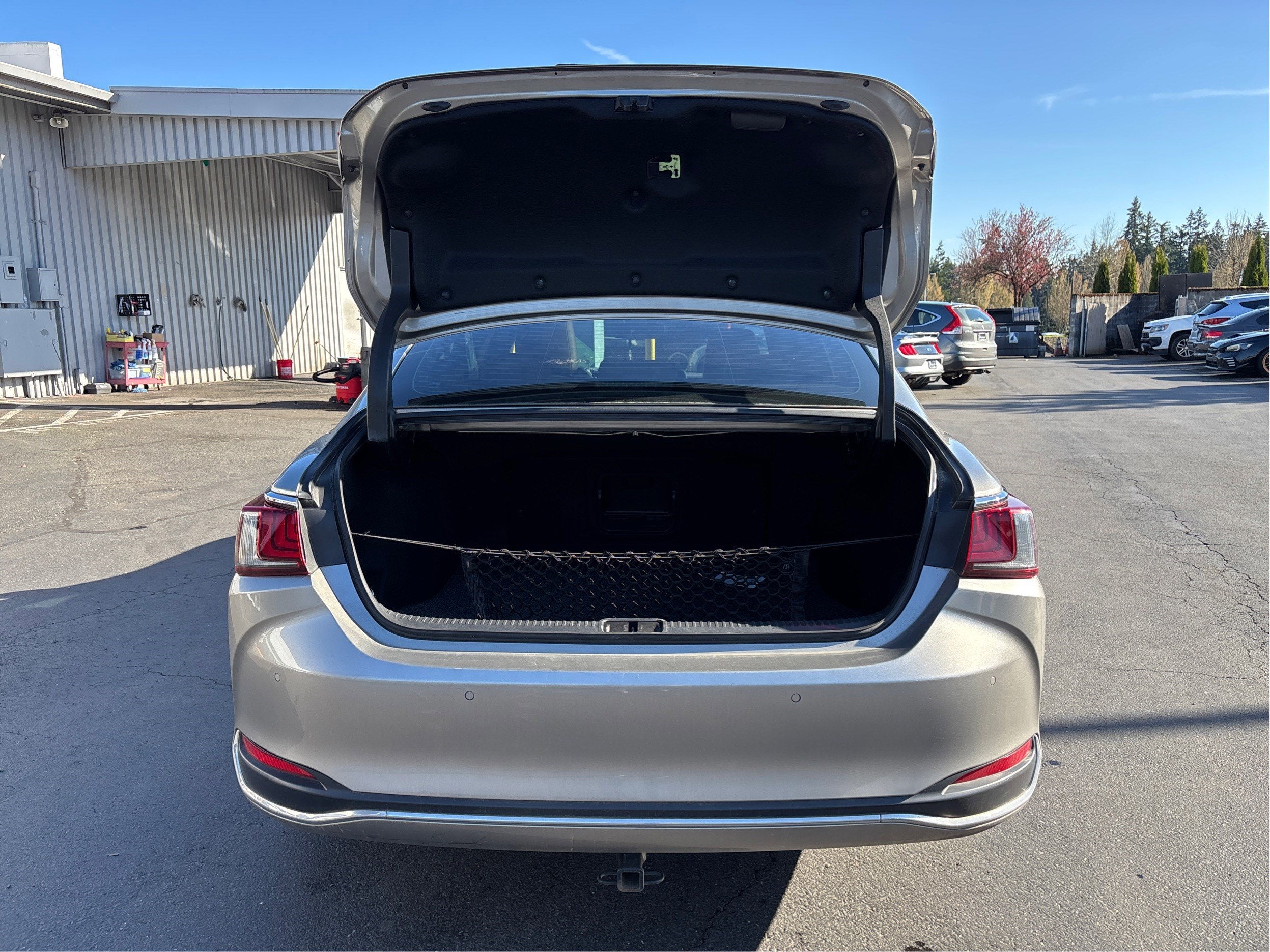 2021 Lexus ES ES 250 AWD