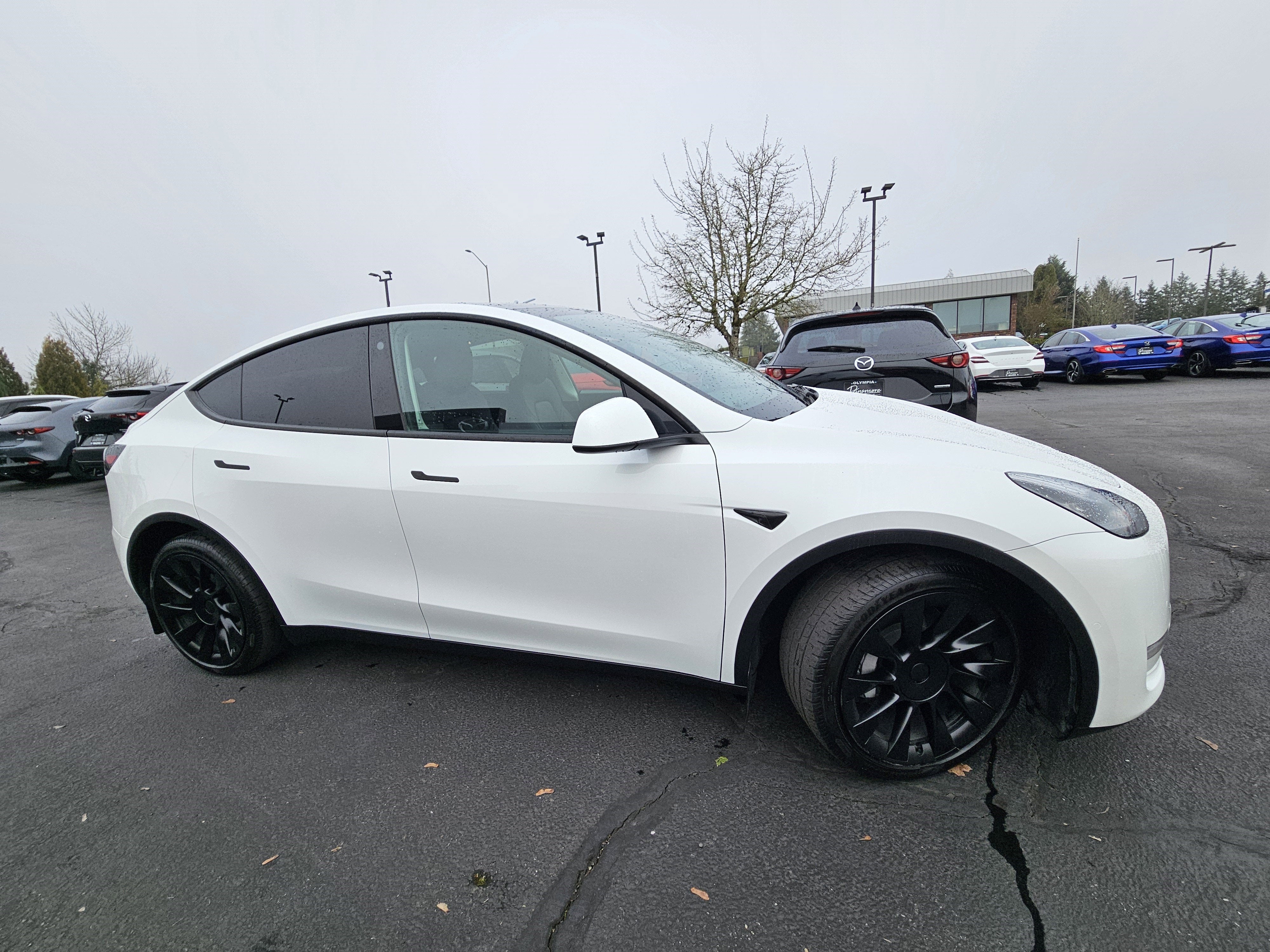 2021 Tesla Model Y Long Range AWD