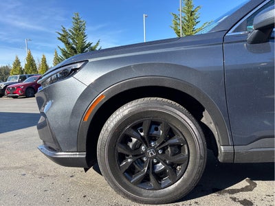 2023 Honda CR-V LX AWD