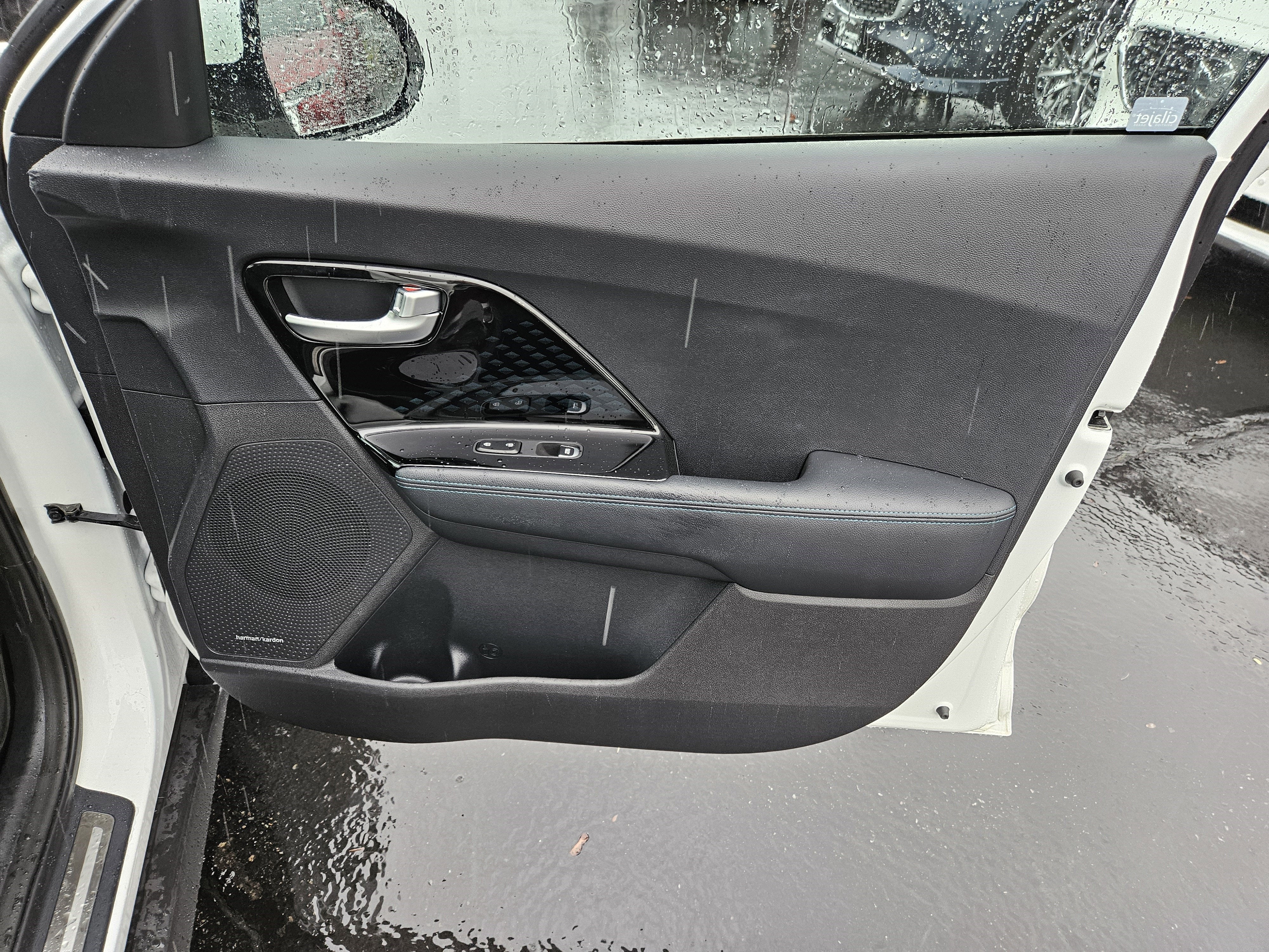 2019 Kia Niro EV EX Premium