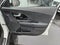 2019 Kia Niro EV EX Premium