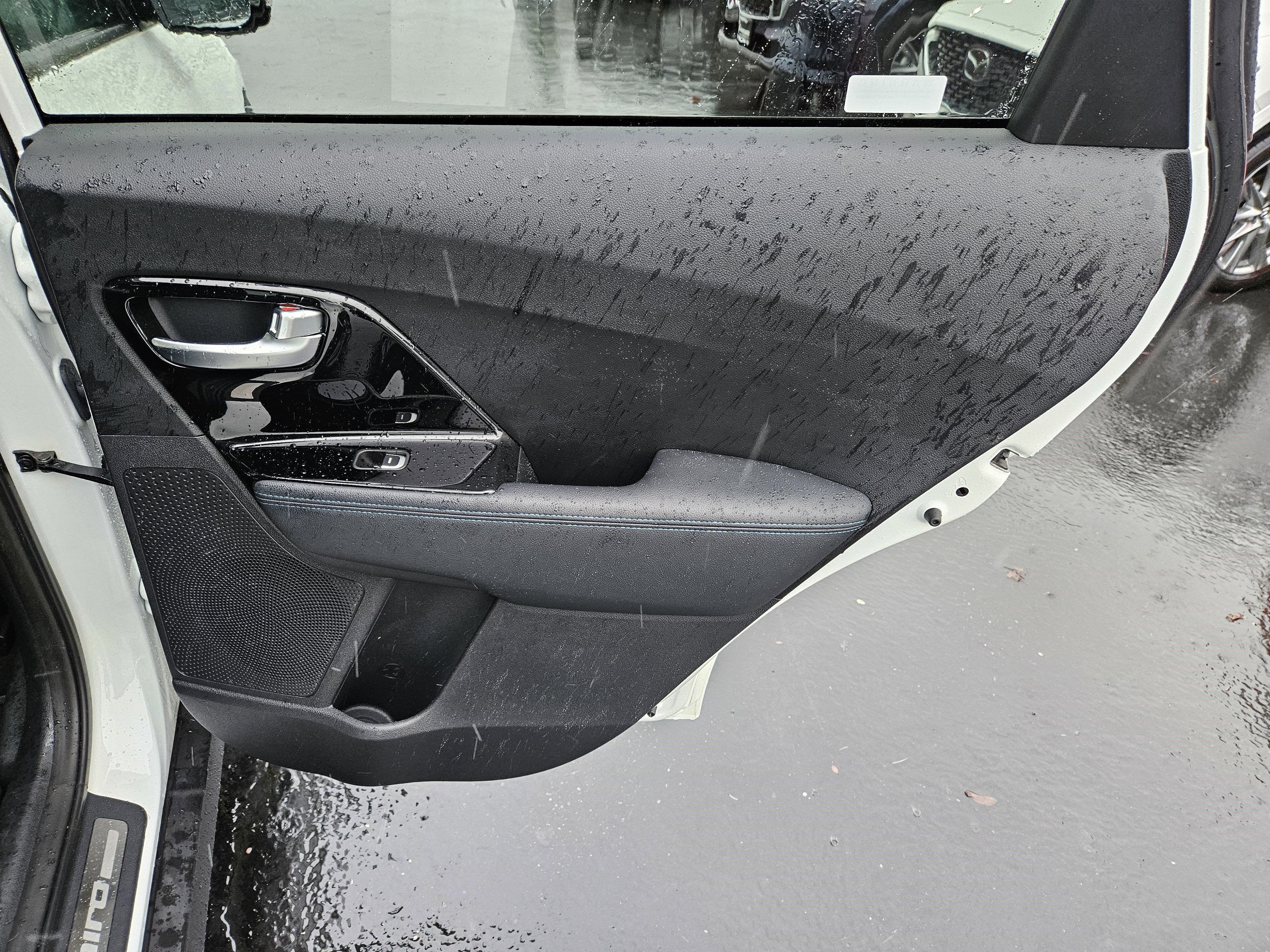 2019 Kia Niro EV EX Premium