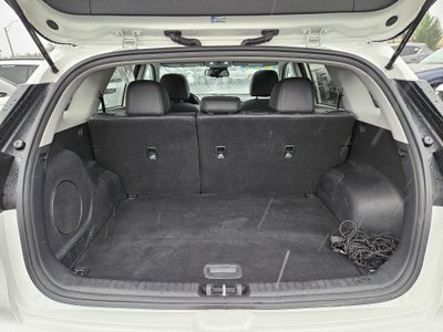 2019 Kia Niro EV EX Premium