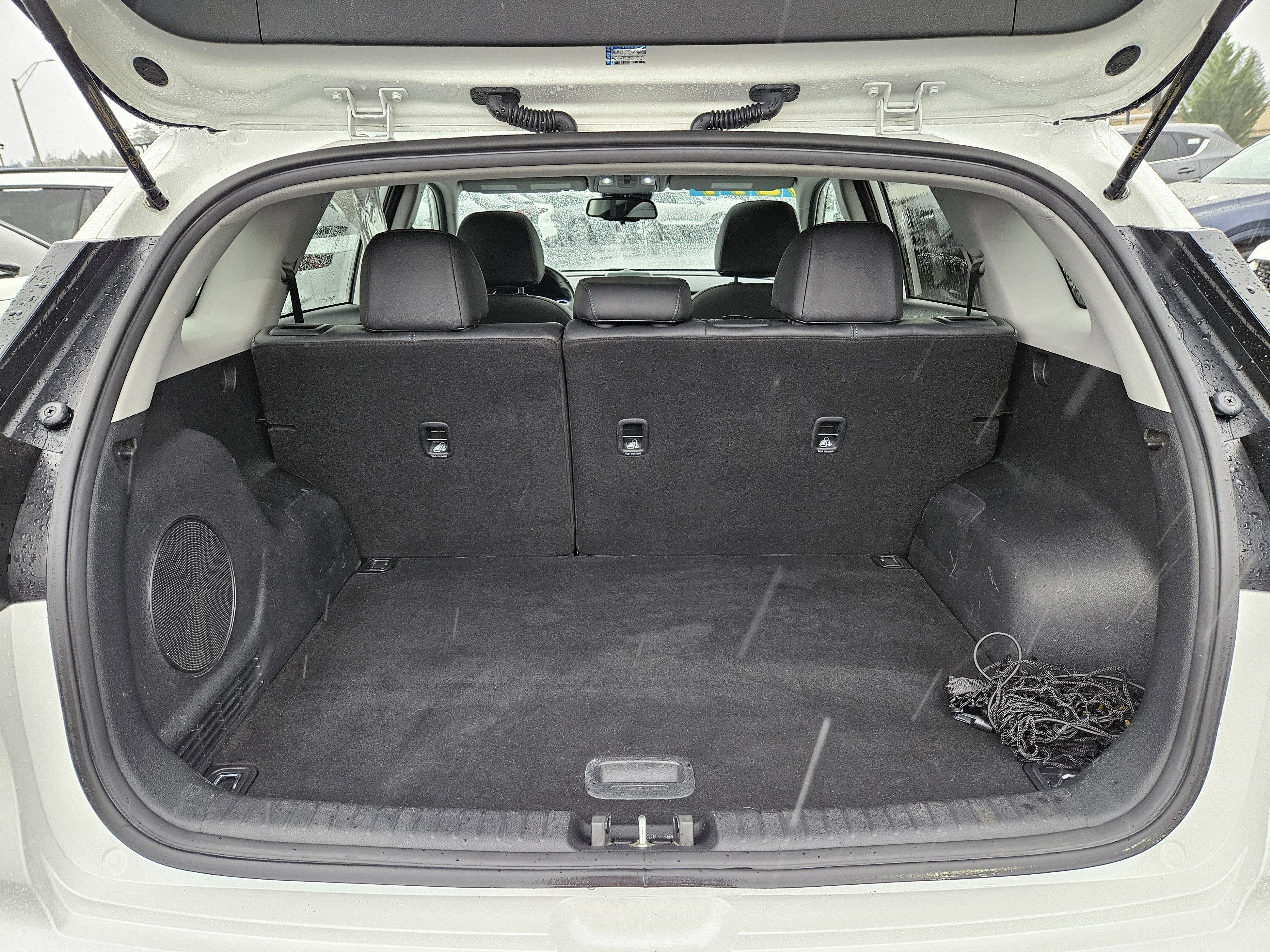 2019 Kia Niro EV EX Premium