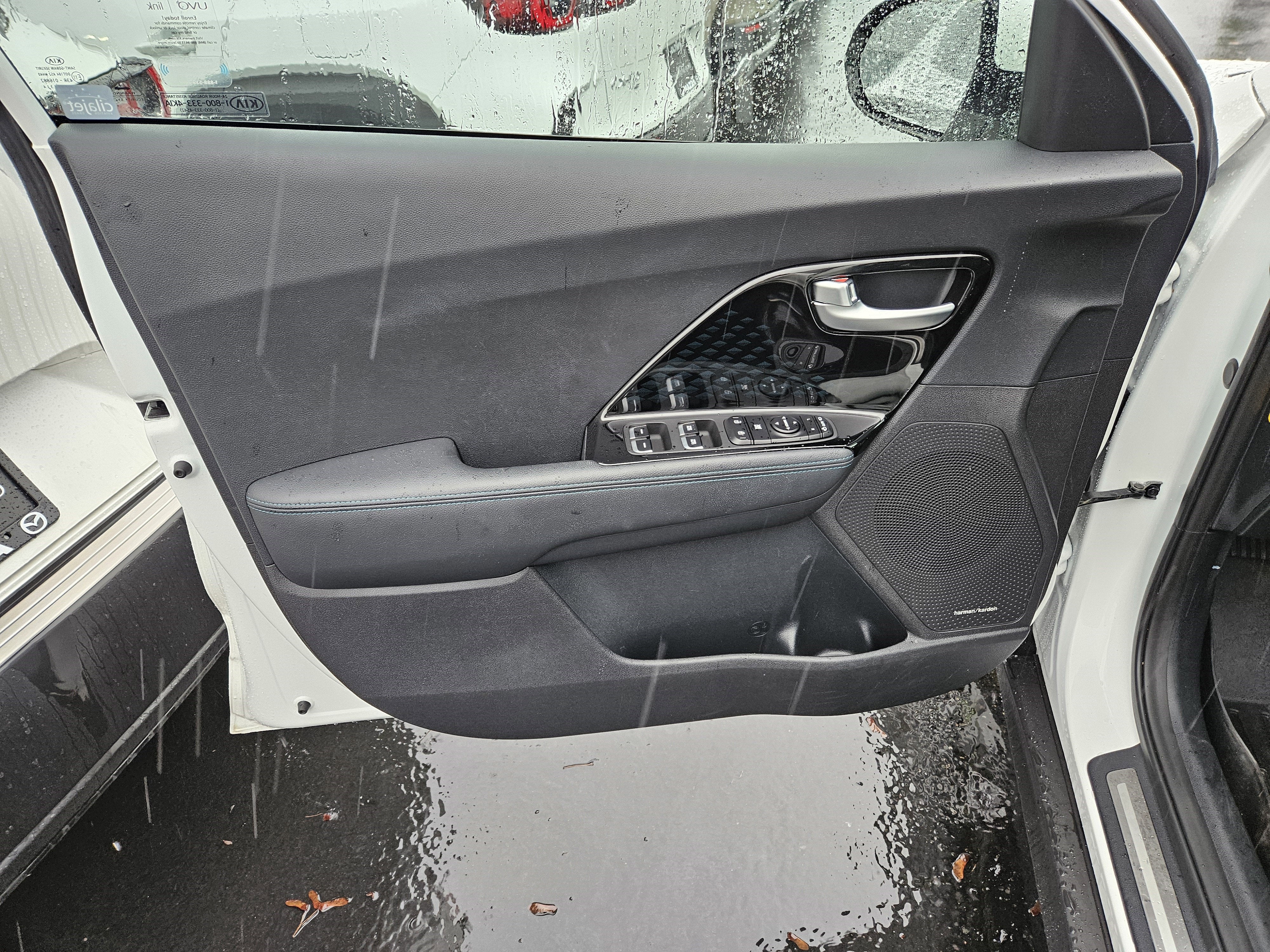 2019 Kia Niro EV EX Premium