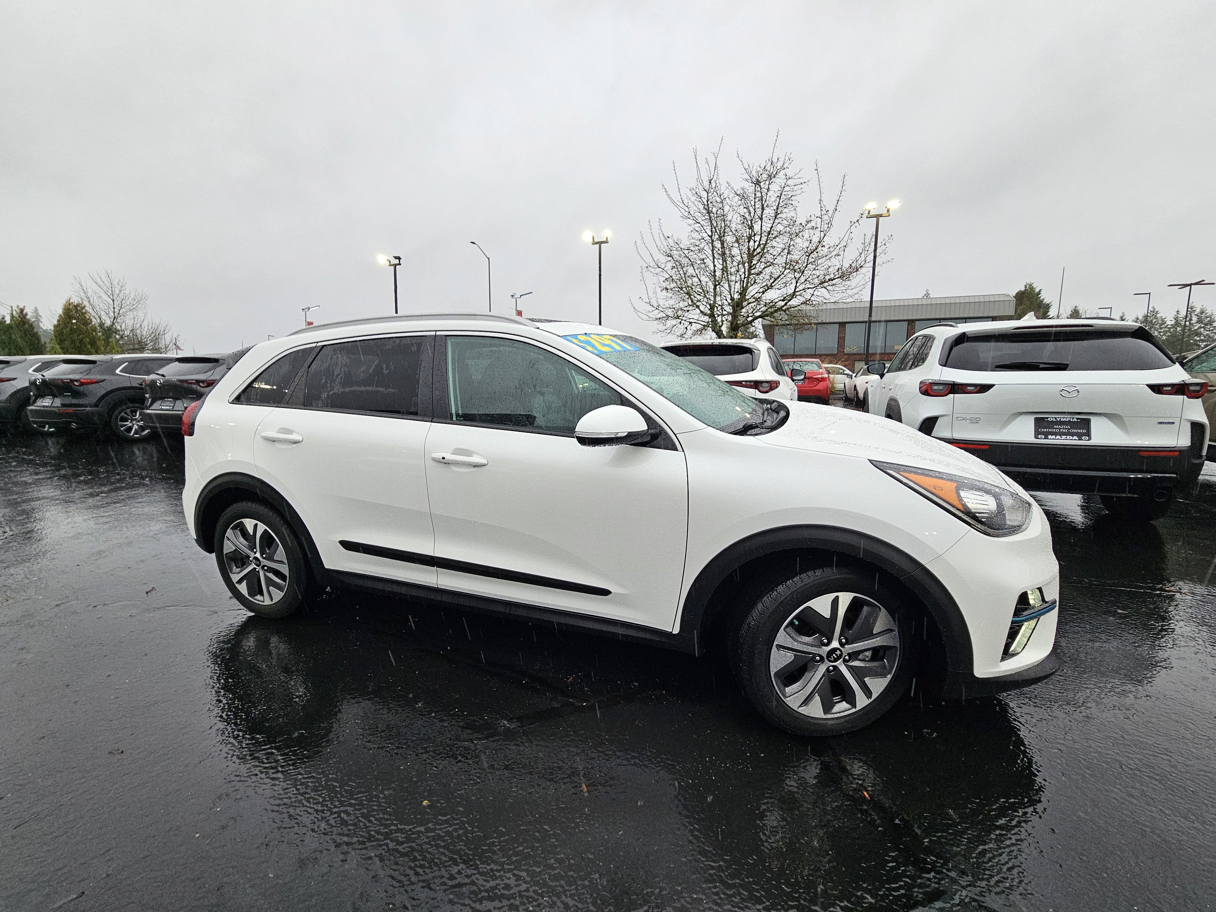 2019 Kia Niro EV EX Premium