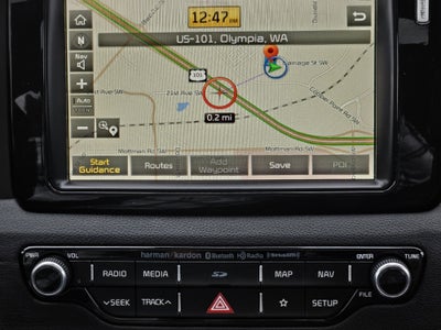 2019 Kia Niro EV EX Premium