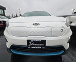 2019 Kia Niro EV EX Premium
