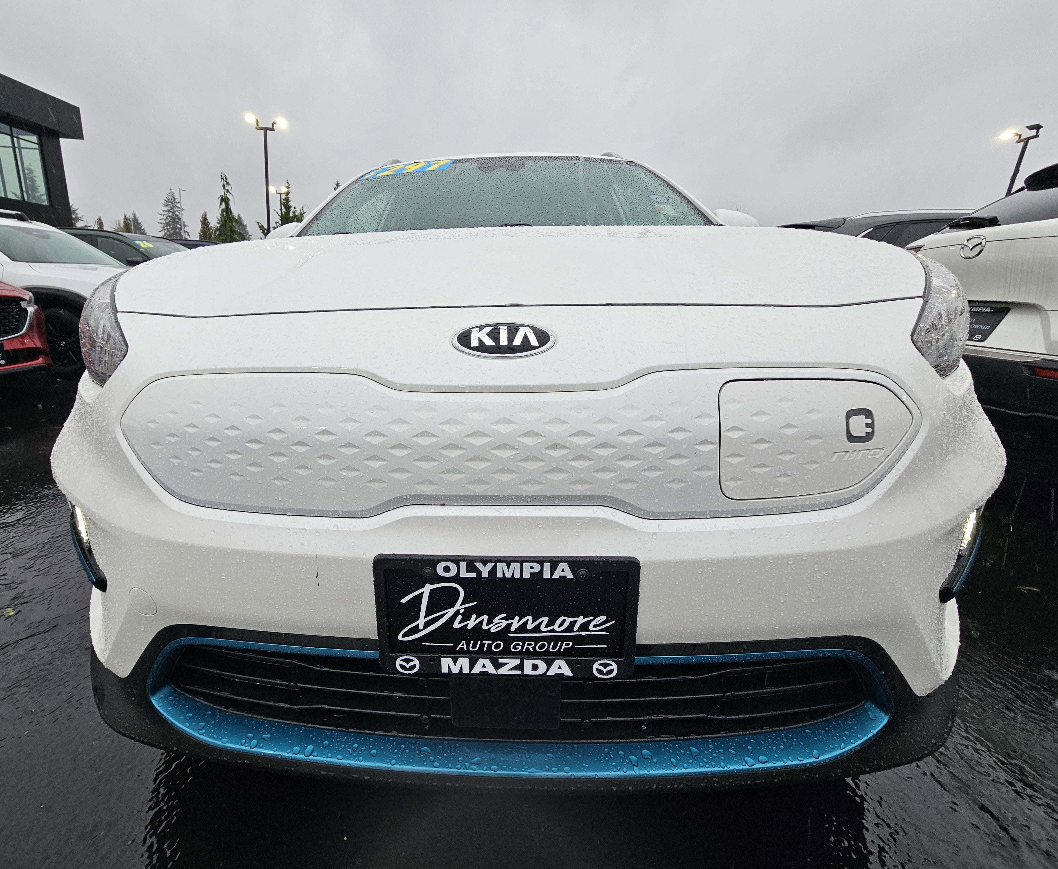 2019 Kia Niro EV EX Premium