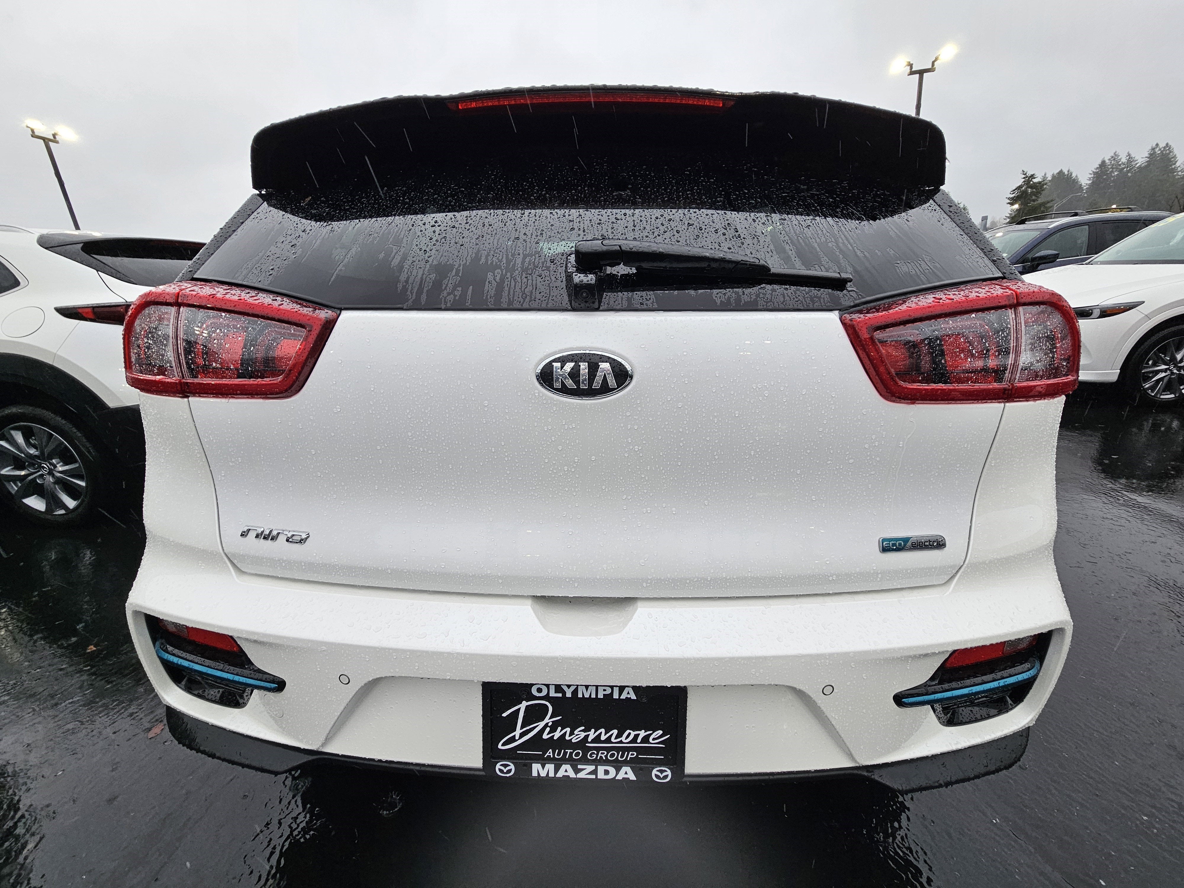 2019 Kia Niro EV EX Premium