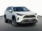 2024 Toyota RAV4 XLE AWD