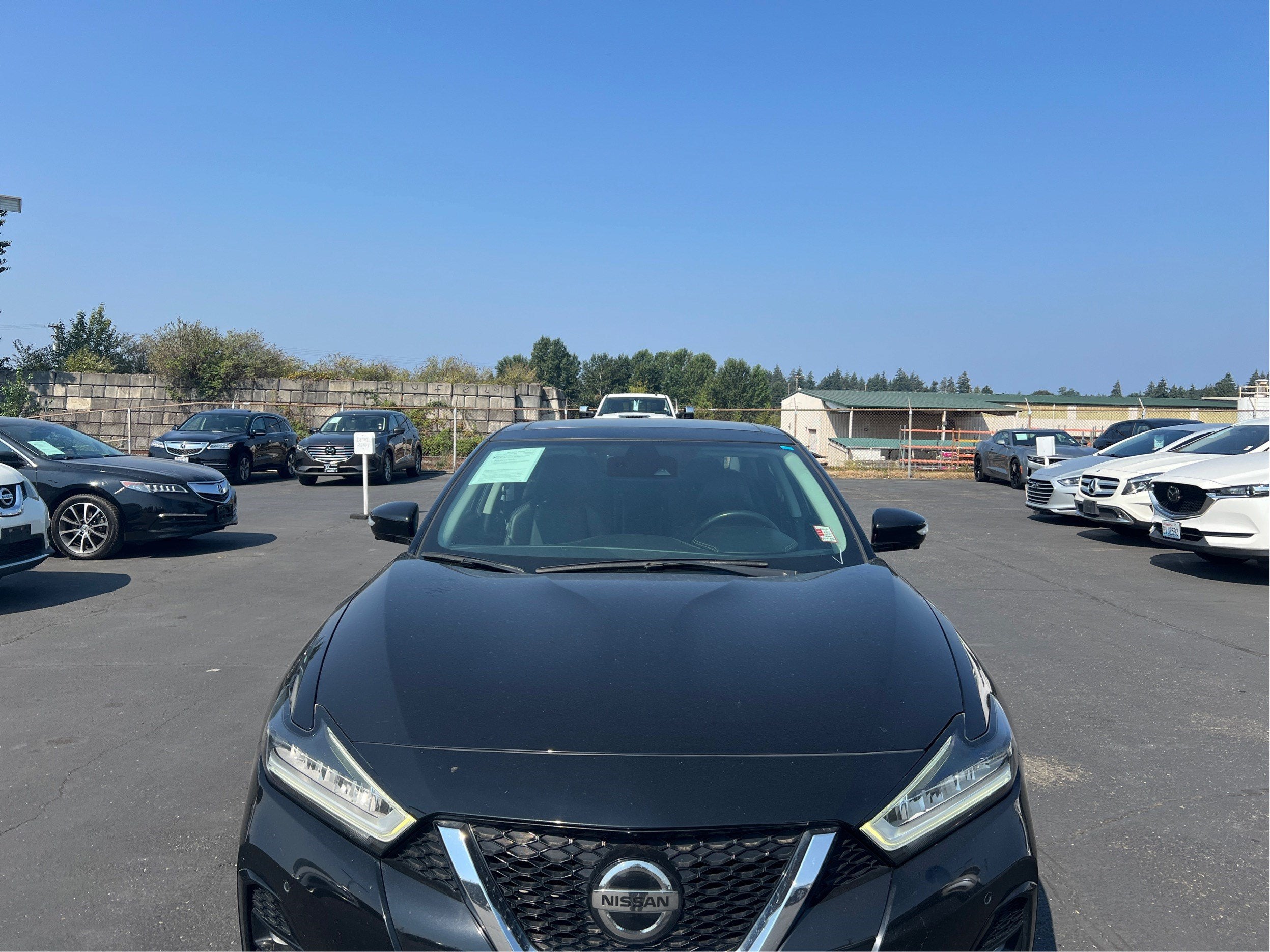 2019 Nissan Maxima Base
