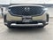 2025 Mazda Mazda CX-50 Turbo Premium Plus AWD