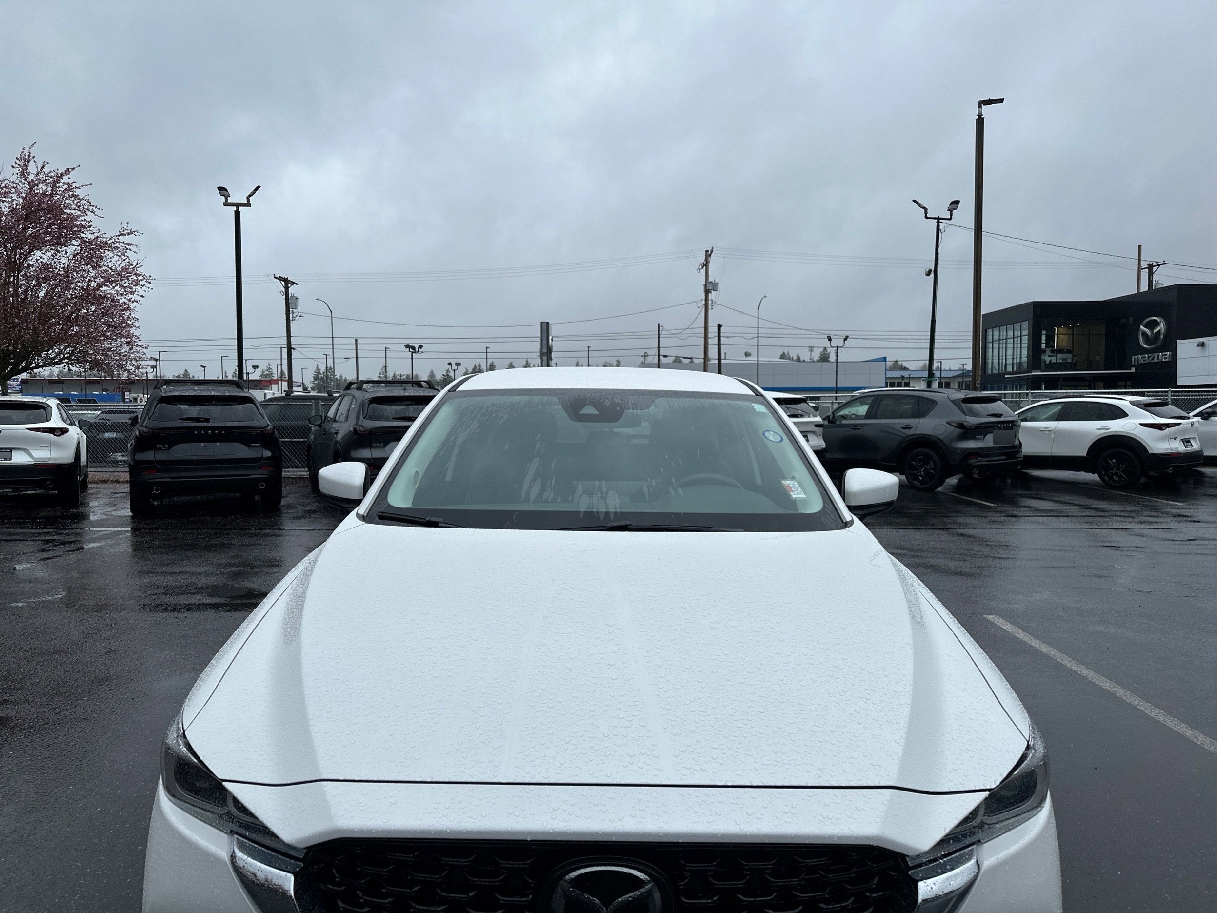 2025 Mazda Mazda CX-5 2.5 S Select AWD